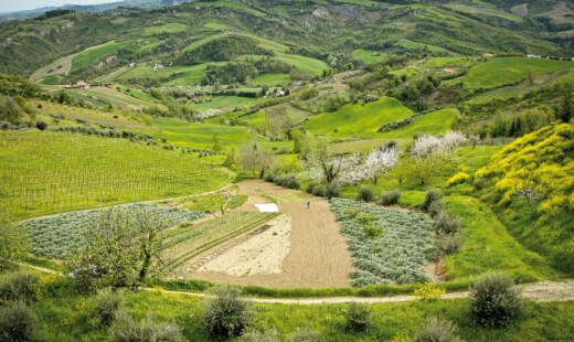 Podere La Torre
