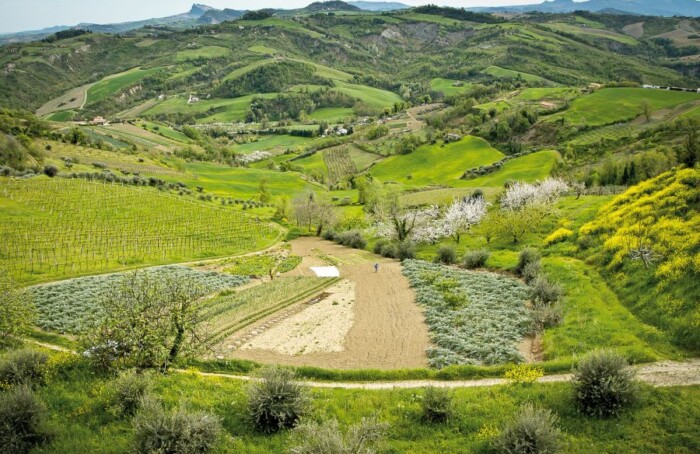 Podere La Torre