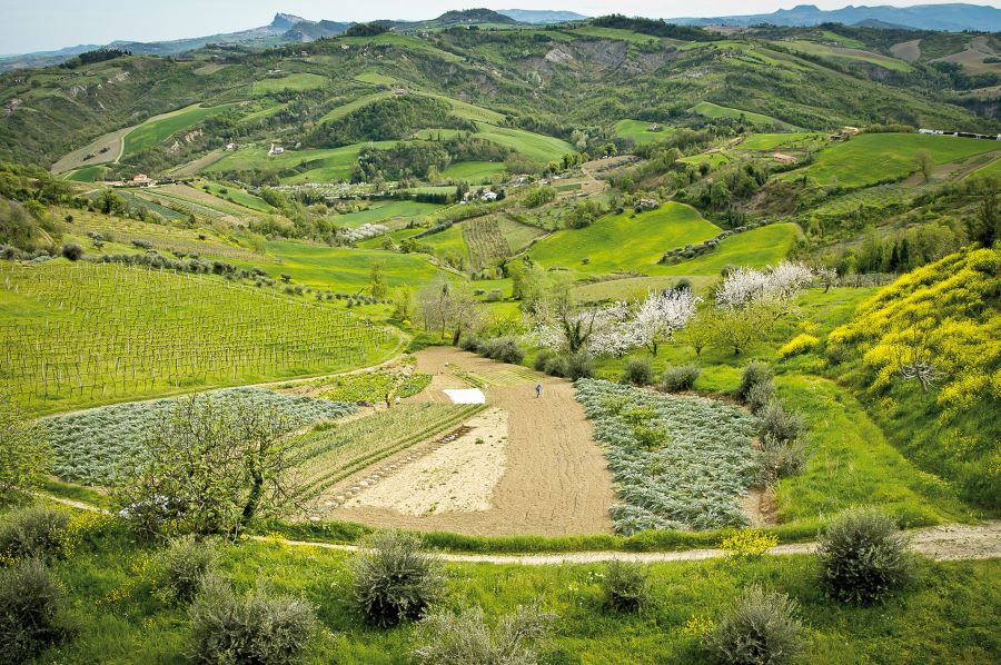 Podere La Torre