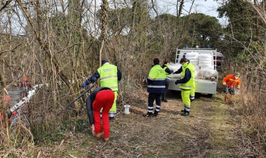 Rischio Inquinamento Punte Alberete