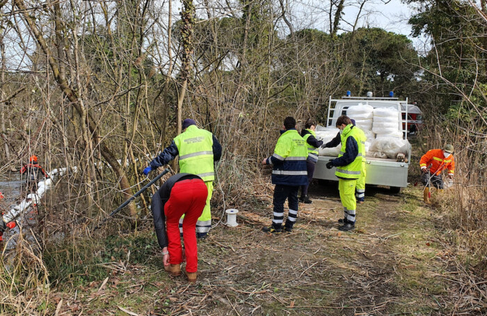 Rischio Inquinamento Punte Alberete