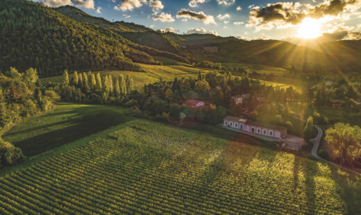 Tenuta Piccolo Brunelli Predappio Alta