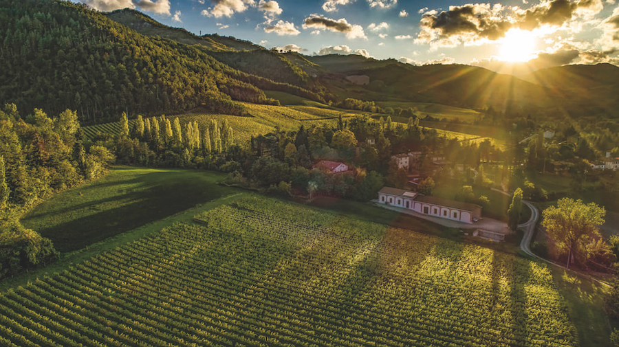 Tenuta Piccolo Brunelli Predappio Alta