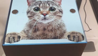 Urna Ceneri Animale Domestico