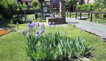 Camminamento Giardino Semplici