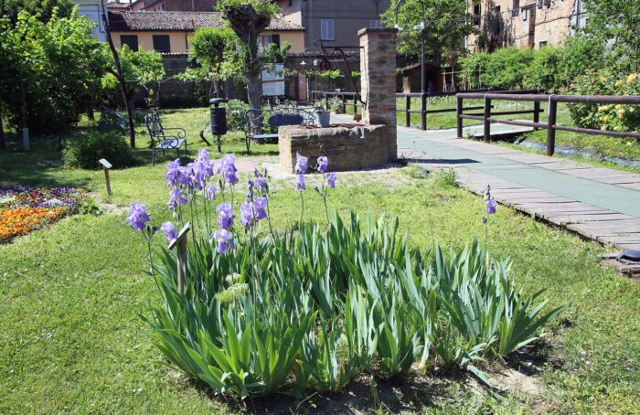 Camminamento Giardino Semplici