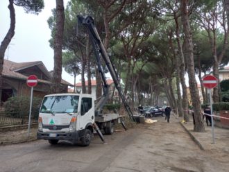 Infortunio Mortale Cervia Potatura