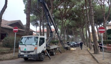 Infortunio Mortale Cervia Potatura