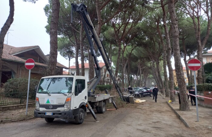 Infortunio Mortale Cervia Potatura