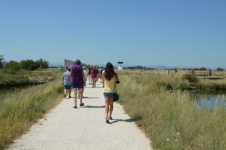 Saline Cervia