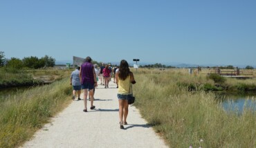 Saline Cervia
