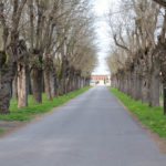 Viale Cimitero Bagnacavallo