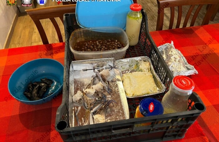 04 Foto Alimenti