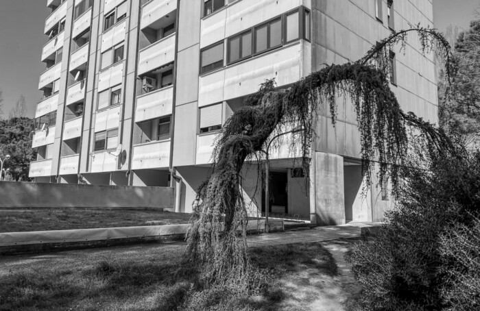 13032022 IMG 2031