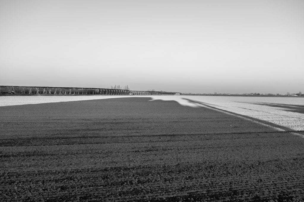 Delle pianure