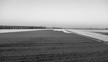 Delle pianure