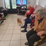 IMG 20220318 Fata Fameja 3