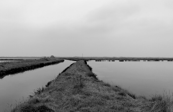 Solo paesaggio