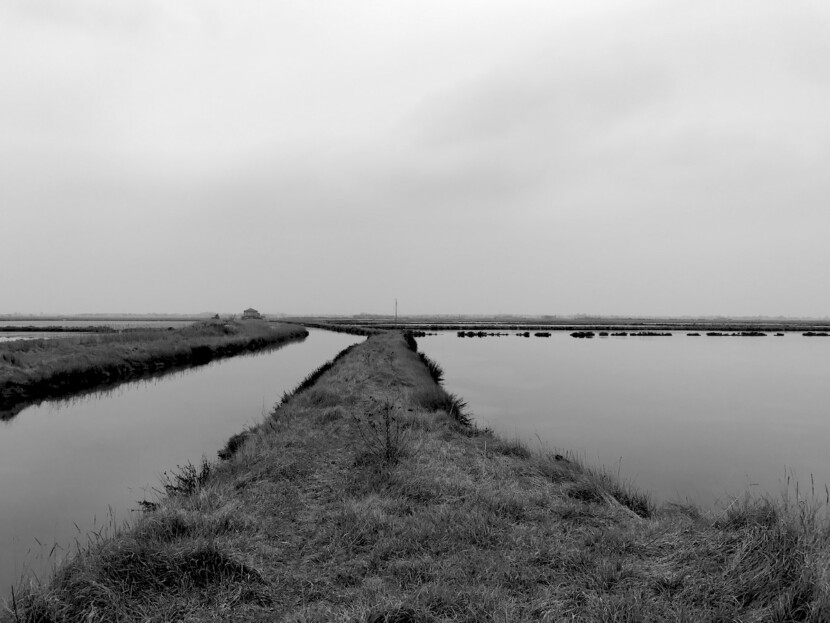 Solo paesaggio