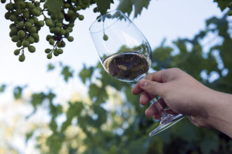 Vino Analisi Visuale