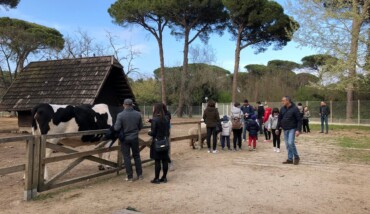 Fattoria Parco Cervia 
