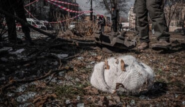 Pexels алесь усцінаў 11477794