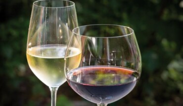Vino