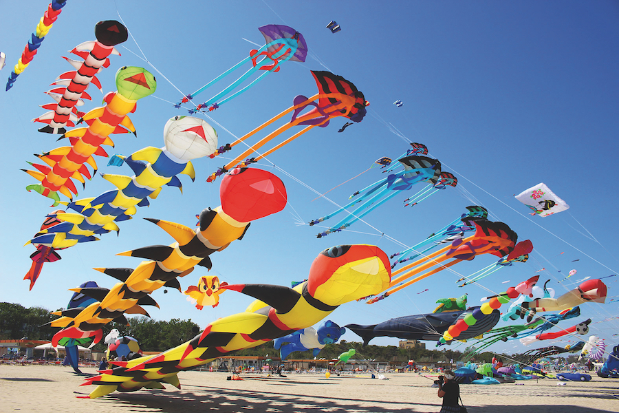 Festival Aquilone Cervia