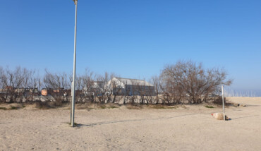 Marina Di Ravenna, Tamerici Rimosse