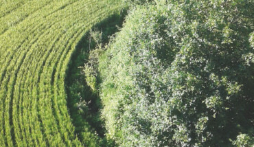 Waterways Percorso Conselice Lavezzola