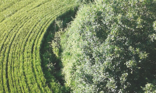 Waterways Percorso Conselice Lavezzola