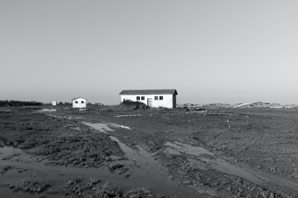 01 19022011 L1000674