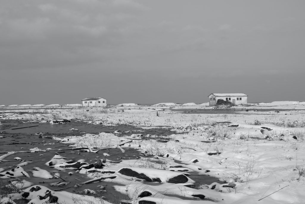 02 12022012 L1001479