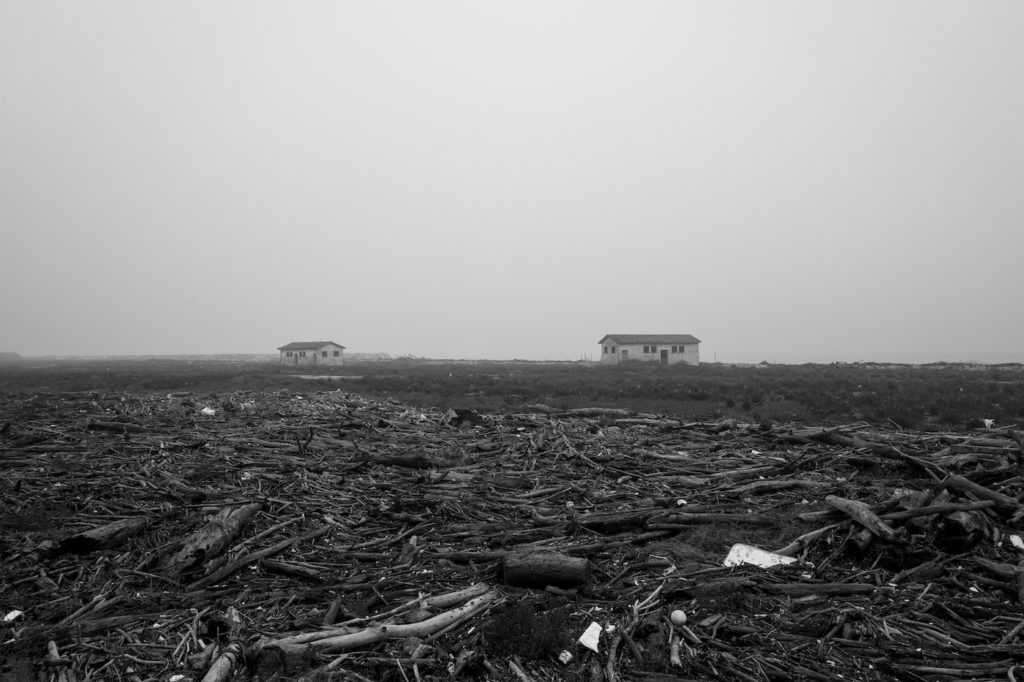 09 01122019 L1050573