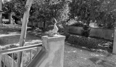 Gente di pace