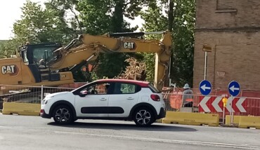 2022 06 21 Alberi Valtorto2 Ph M Moretta