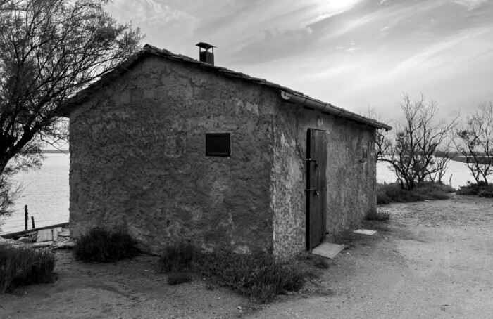 Succede per caso