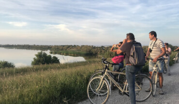 Bici Traversa Volta Scirocco