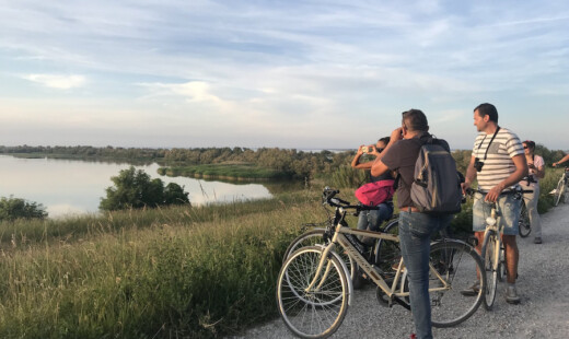 Bici Traversa Volta Scirocco