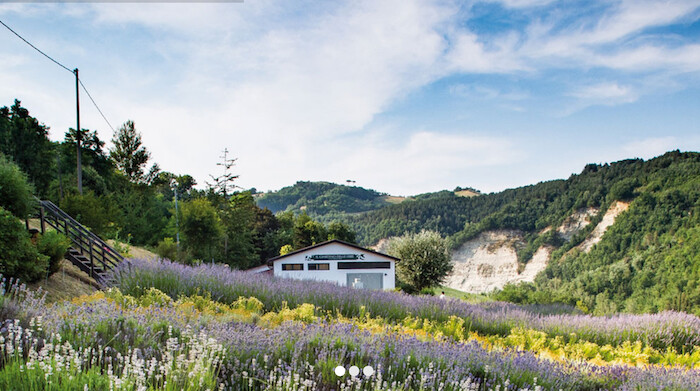 Giardino Delle Erbe Casola Valsenio
