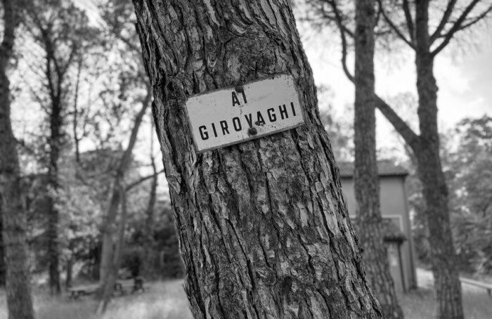27062022 IMG 4077 2