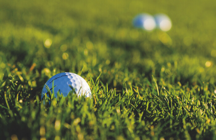 Campo Golf