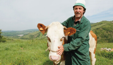 Bagnolini 