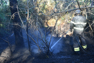 Incendio Pineta Ramazzotti 1 agosto 2022