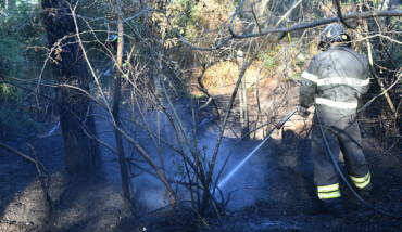 Incendio Pineta Ramazzotti 1 agosto 2022
