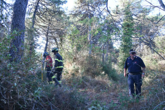 Incendio Pineta Ramazzotti 1 agosto 2022