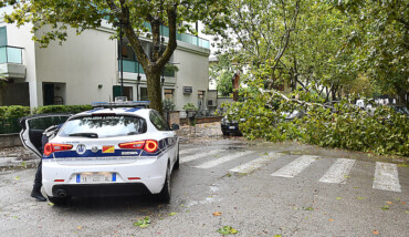 Albero Caduto Marina Polizia