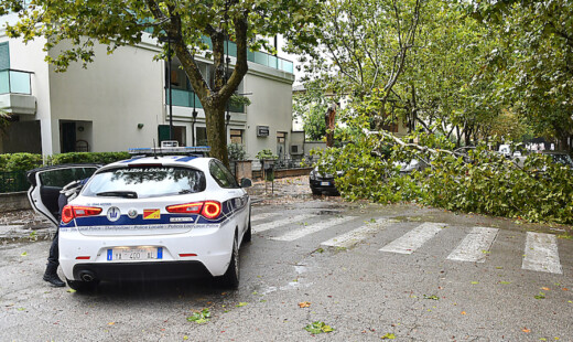 Albero Caduto Marina Polizia