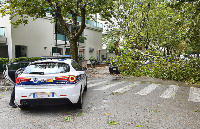 Albero Caduto Marina Polizia