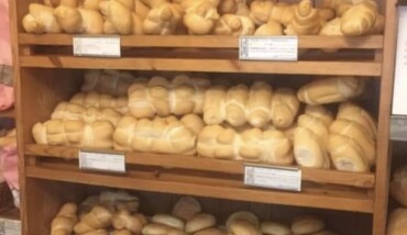 Forno Canducci